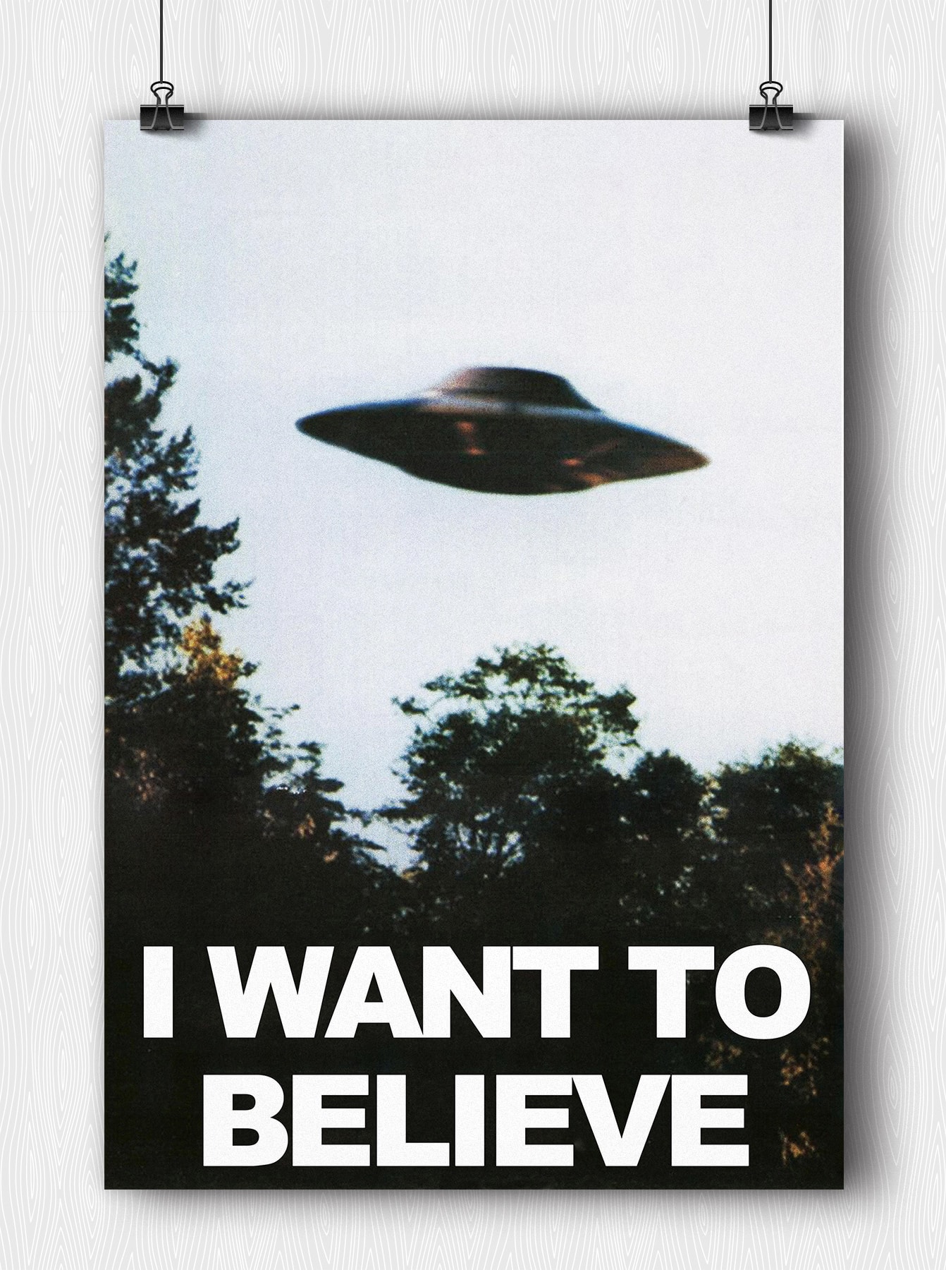 Купить Постер X-Files - I want to Believe (на заказ) в Woody Comics